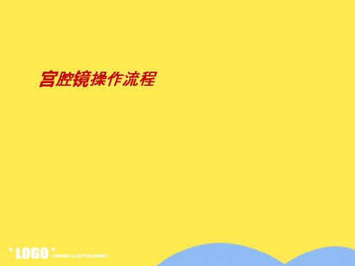 宫腔镜操作流程(共4张PPT)