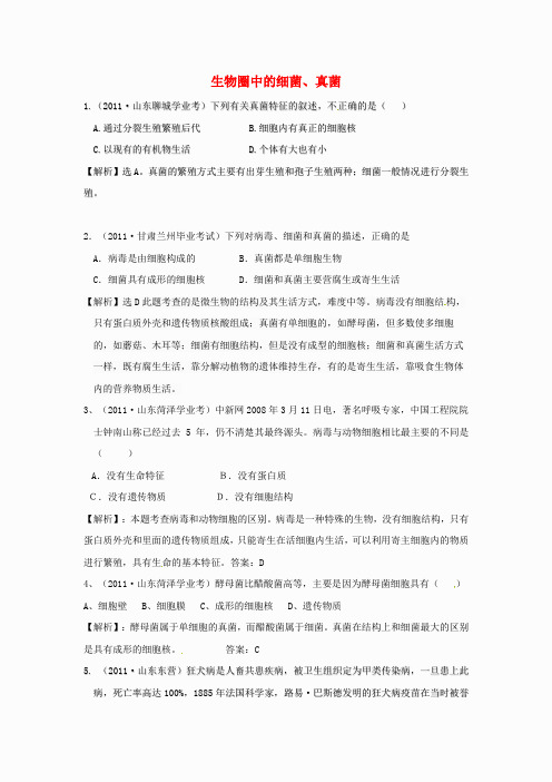 2012届近三年中考生物专题汇编及解析31 生物圈中的细菌、真菌 人教新课标版