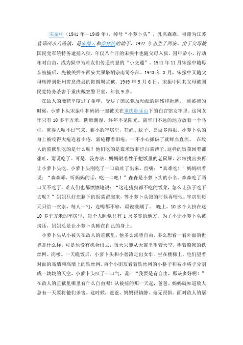 小萝卜头