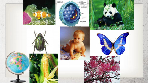 《生物体中的无机化合物》高中生命科学第一册2.1【2017沪科版】1