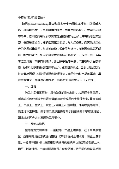 中药材“防风”栽培技术