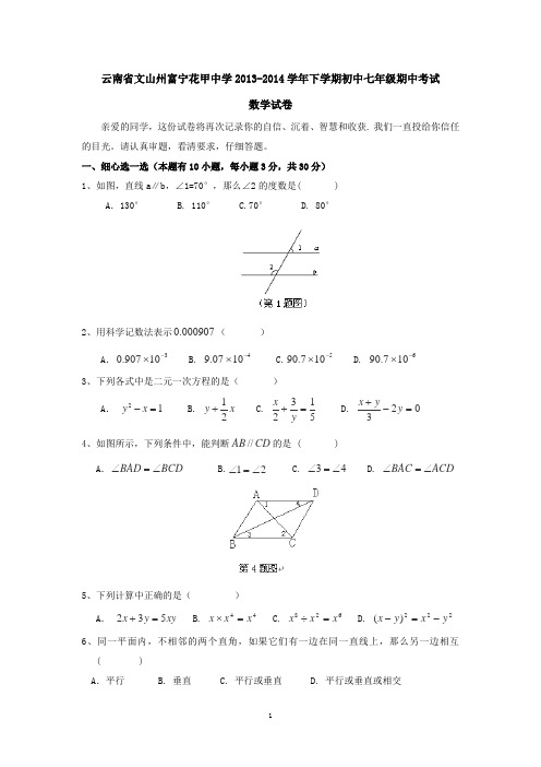 云南省文山州富宁花甲中学2013-2014学年下学期初中七年级期中考试数学试卷