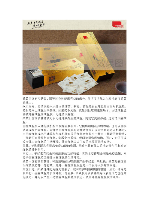 多使用桑黄能预防癌症并防止癌症复发