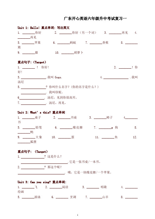 广东开心英语六年级升中考试复习一