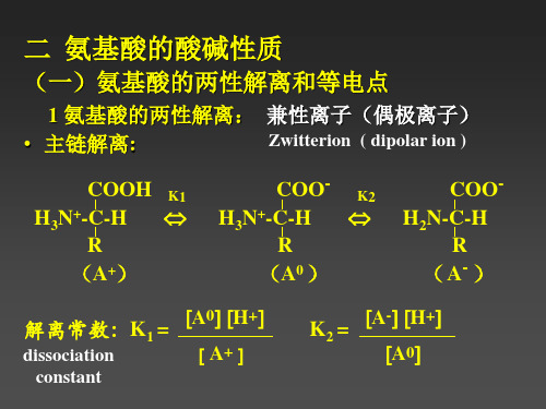 氨基酸的酸碱性质