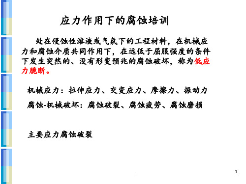 应力作用下的腐蚀培训PPT课件