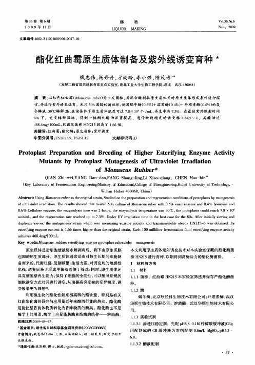 酯化红曲霉原生质体制备及紫外线诱变育种