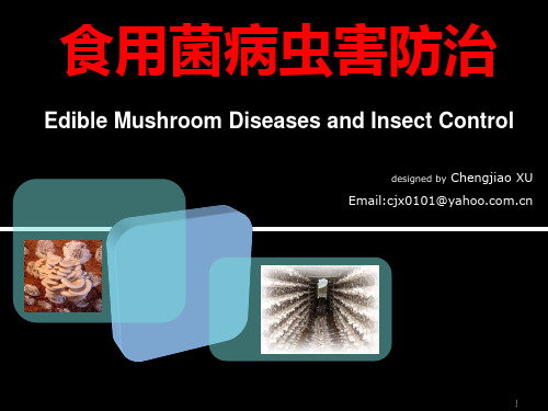 食用菌病虫害防治全套课件