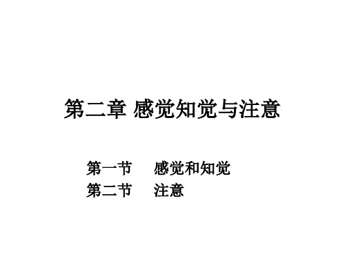 第二章 感觉知觉与注意