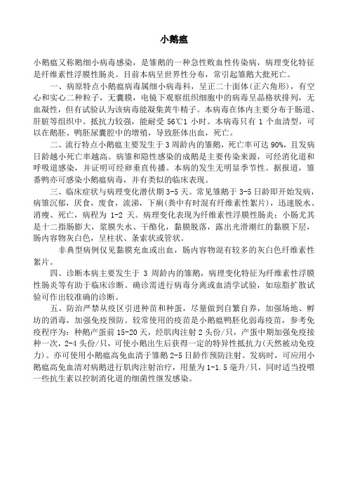 小鹅瘟