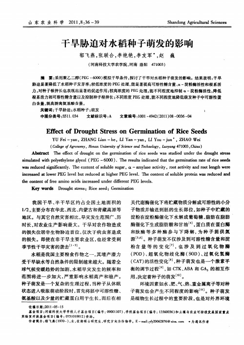干旱胁迫对水稻种子萌发的影响