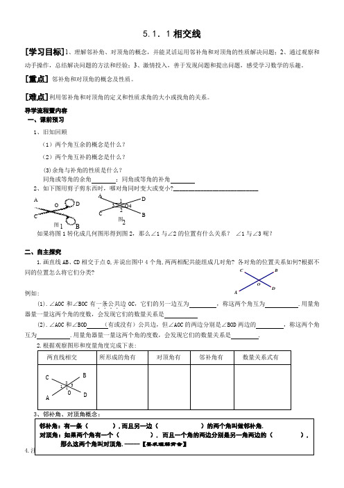 人教版七年级下册数学学案：5.1.1相交线