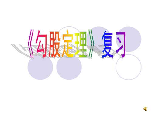 勾股定理复习课.PPT