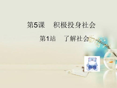 了解社会2 北师大版精品公开教学PPT课件