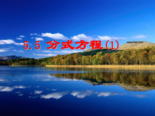 5.5分式方程(1)