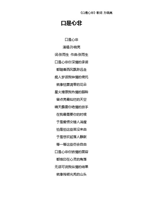 《口是心非》歌词 孙晓亮