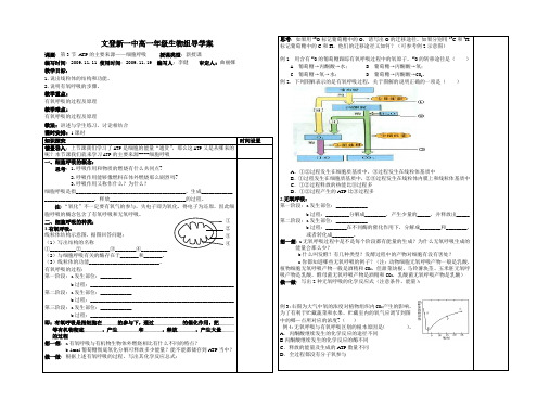 5.3.1呼吸作用(1)