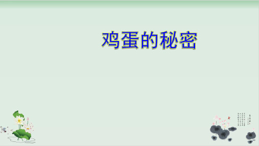 四年级下册科学课件动物的卵-鸡蛋的秘密教科版(共9张PPT)