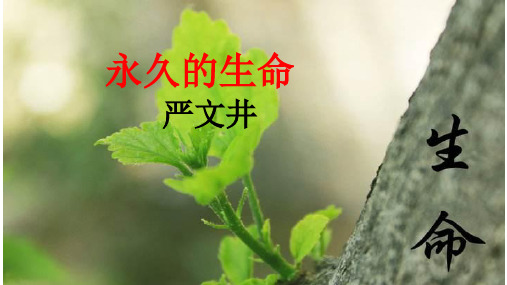 15、散文二篇——(永久的生命)