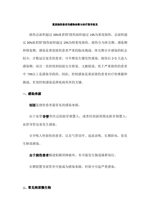 重度烧伤患者的抗感染治疗指导意见