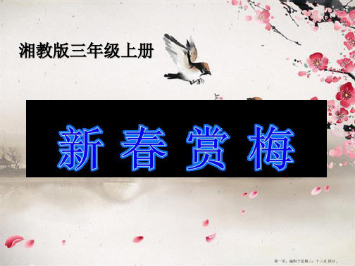 2022春湘教版语文三上《新春赏梅》ppt课件3