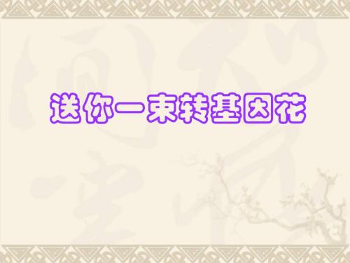 《送你一束转基因花》教学课件(精)