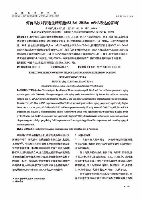 何首乌饮对衰老生精细胞p53、Bcl-2和Bax mRNA表达的影响