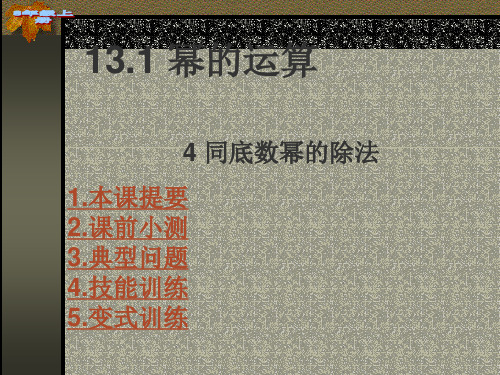 13.1.4同底数幂的除法精品PPT课件