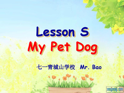 川版新路径英语第六册Lesson S My Pet Dog