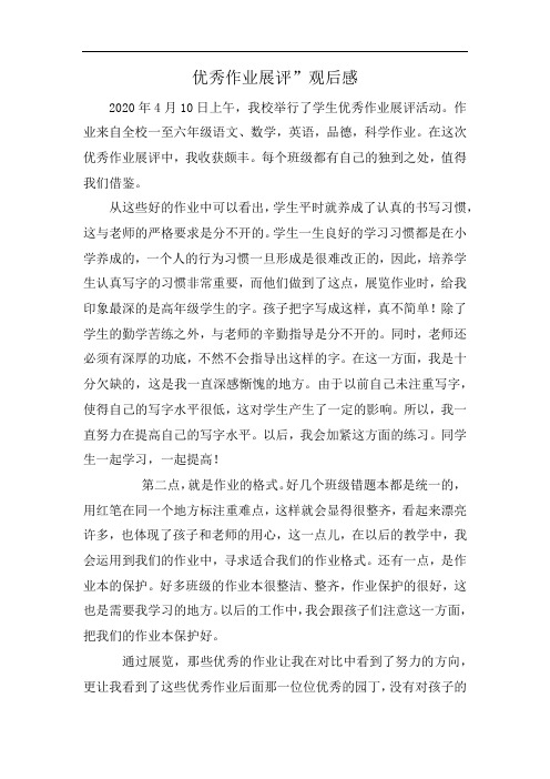 优秀教案、作业展评观后感、总结与反思 (17)