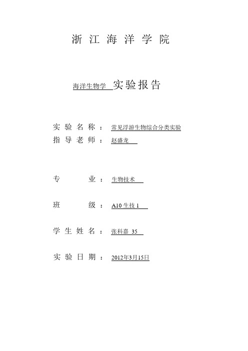 海洋生物学实验——节肢动物与软体动物的观察要点