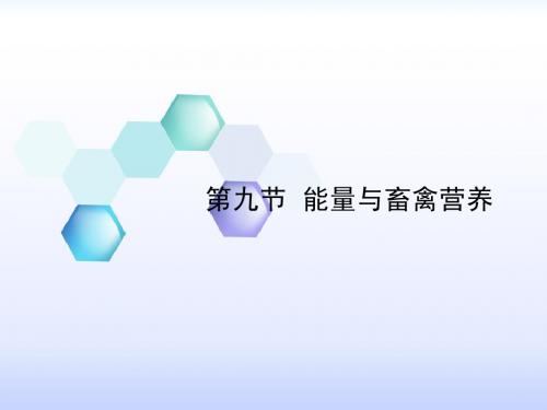 1.9 能量与畜禽营养
