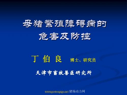 丁伯良-母猪繁殖障碍病的危害及防控