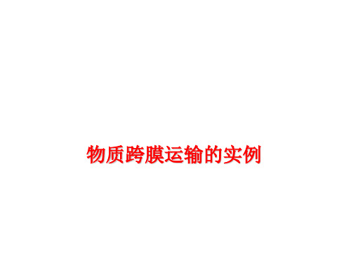 物质跨膜运输的实例   课件
