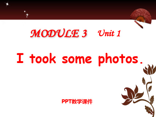 Module 3 Unit 1《I took some photos》(2)精品课件