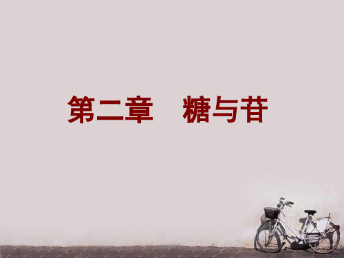 天然药物化学(糖与苷)