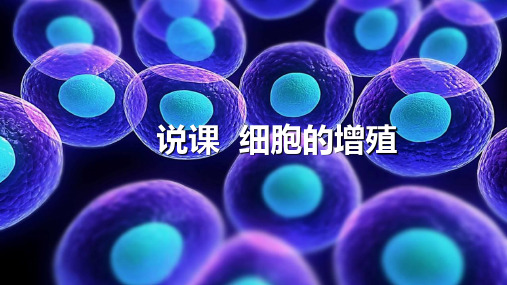 高中生物细胞的增殖优质课说课精品课件