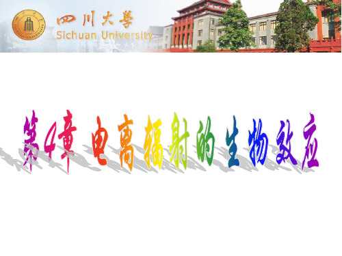 辐射剂量与防护 第4章  电离辐射的生物效应