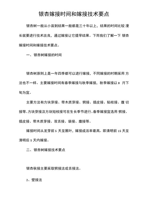 银杏嫁接时间和嫁接技术要点