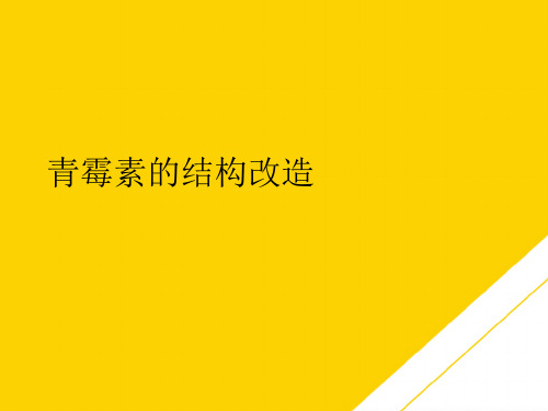 青霉素的结构改造(最全版)PTT文档