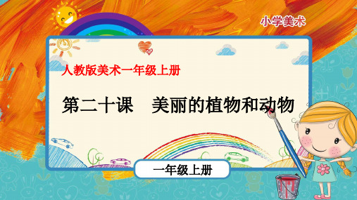 第20课《美丽的植物和动物》(课件)-2021-2022学年美术一年级上册 人教版
