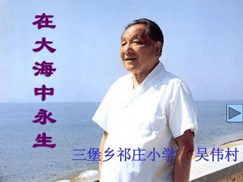 13.在大海中永生(第二课时)