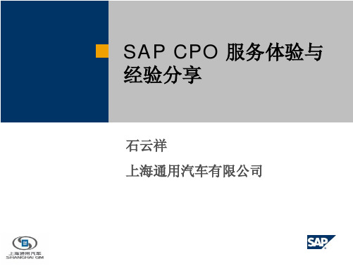 上海通用汽车sap项目经验分享
