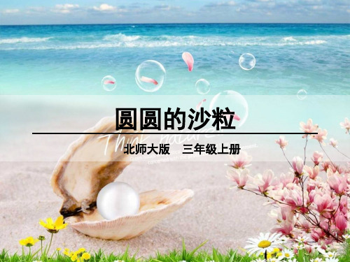 圆圆的沙粒