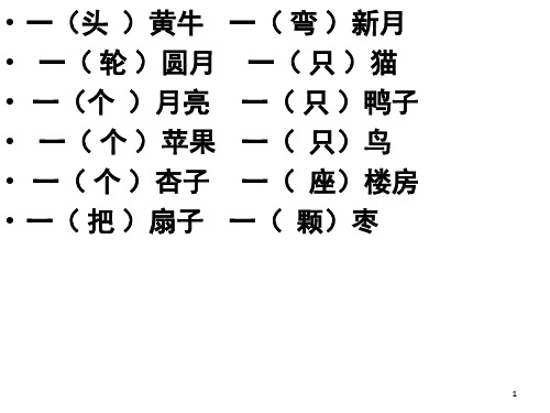 量词(课堂PPT)