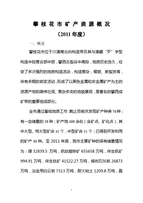 攀枝花矿产资源概况11