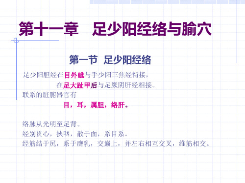 胆经