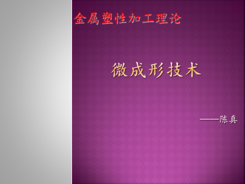 微成型技术