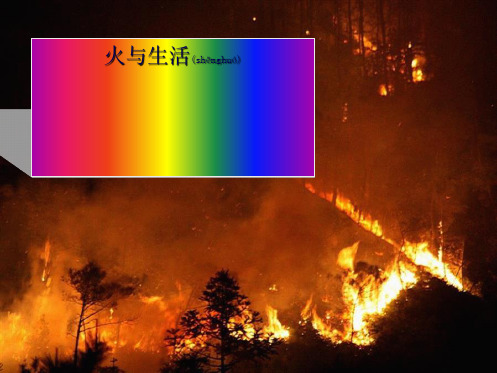 四年级科学下册 6.1《火与生活》课件3 小学四年级下册自然科学课件