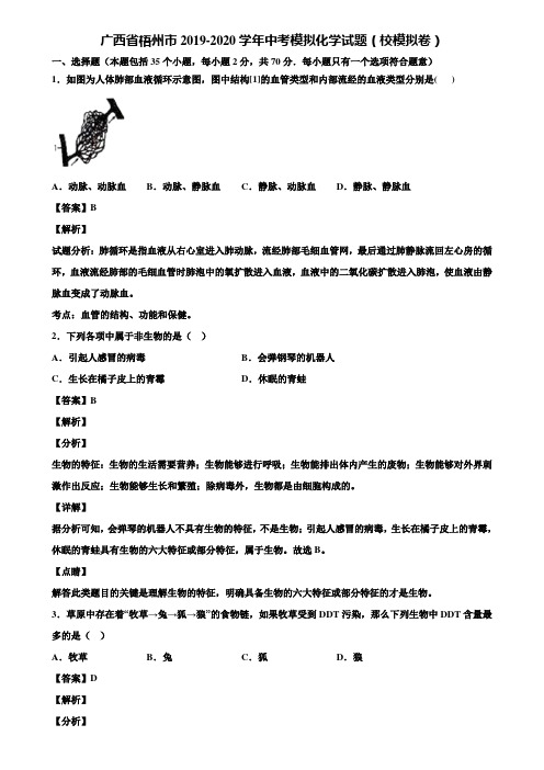 广西省梧州市2019-2020学年中考模拟化学试题(校模拟卷)含解析